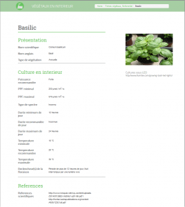 vegetaux_exemple_fiche_basilic